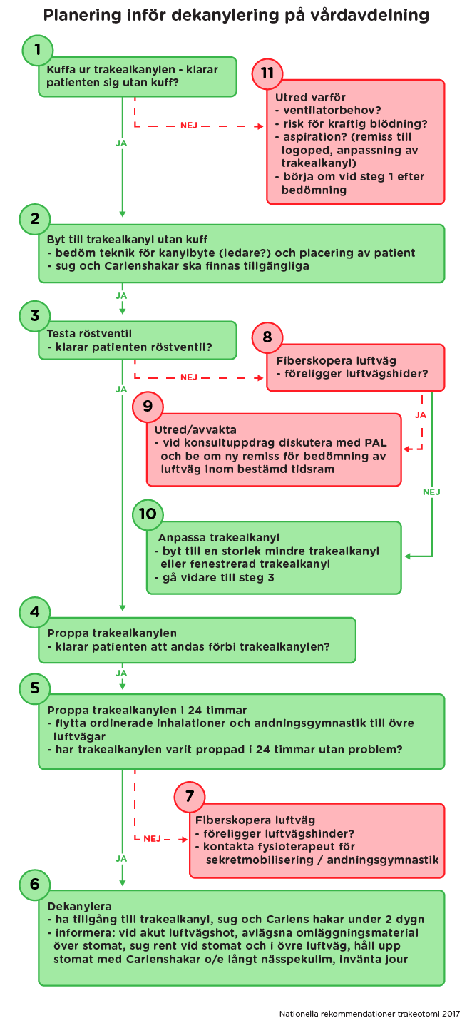 Planering-inför-dekanylering-på-vårdavdelning-bold.png